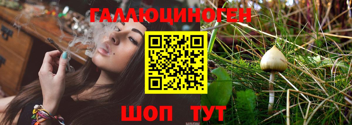 Псилоцибиновые грибы Psilocybine cubensis  Вход с VPN  Кировск 