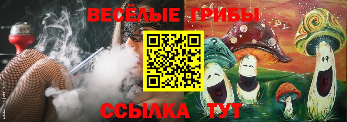 Галлюциногенные грибы прущие грибы Кировск